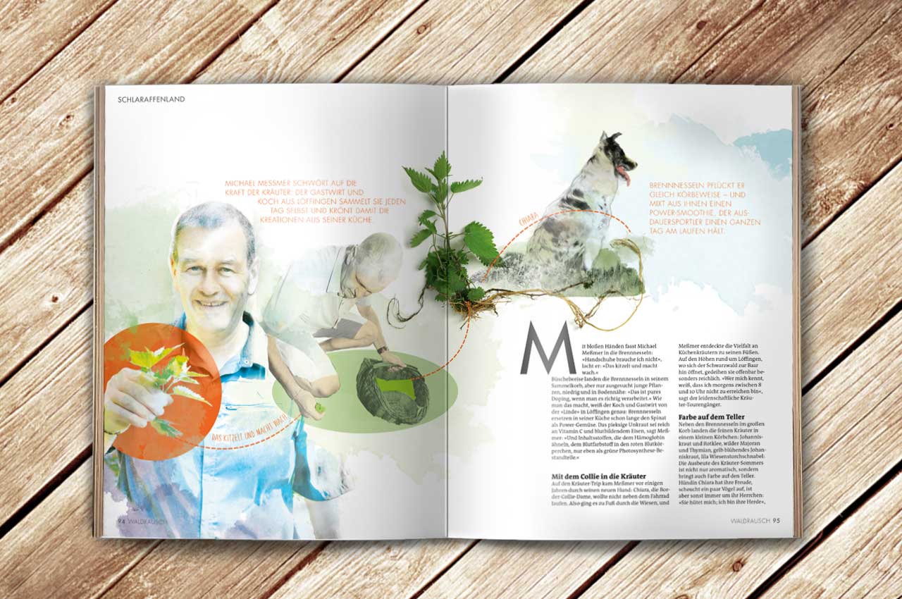 Aufgeschlagene Doppelseite des Magazin Waldrausch - Das Beste aus der Heimat mit einem Artikel zum Thema Brennesseln mit einer Illustration von Koch Michael Messmer aus der Linde Löffingen