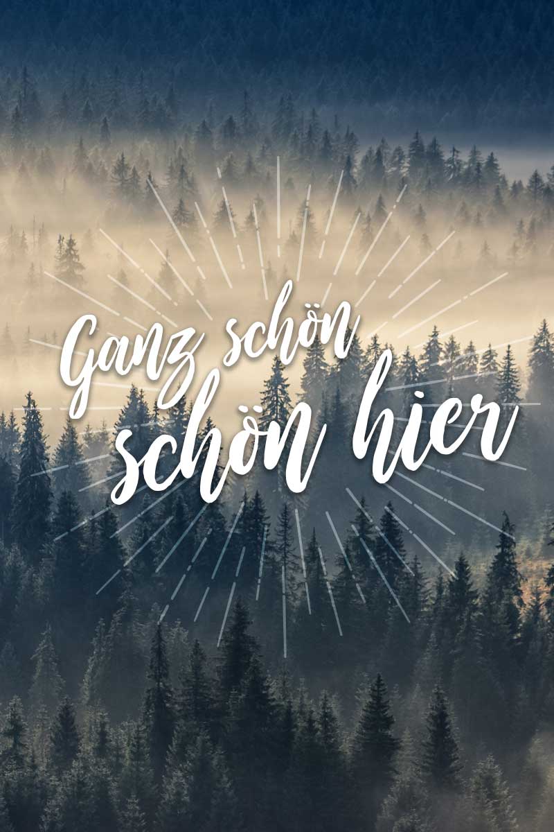 Magazin Waldrausch Heimat Morgenstimmung Wald Formschön GmbH Bild einer Morgenstimmung mit Nebel ueber einem Wald und dem Claim "Ganz schön schön hier"